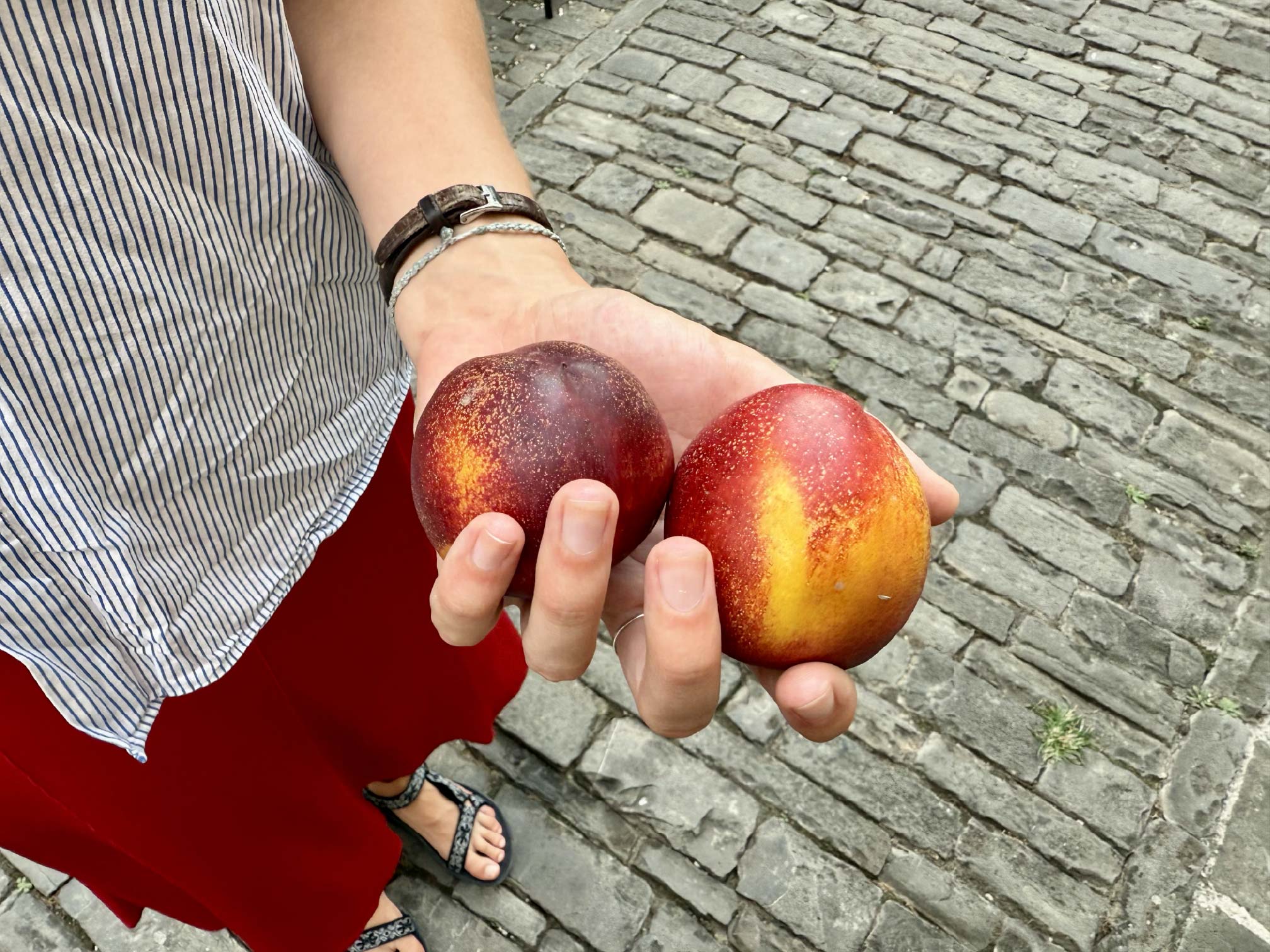 Two peaches in a hand